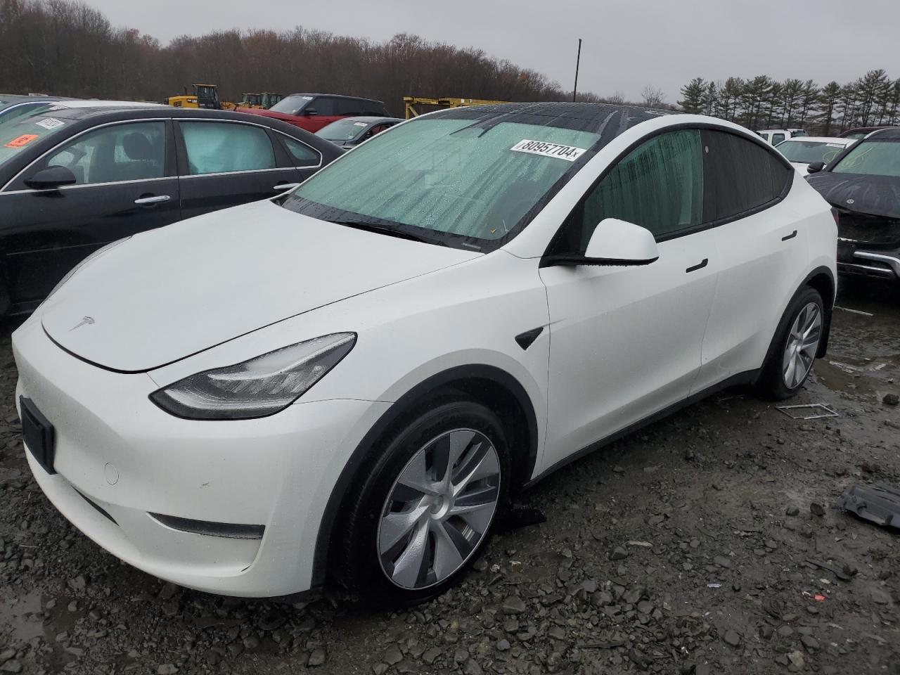 TESLA MODEL Y 2023