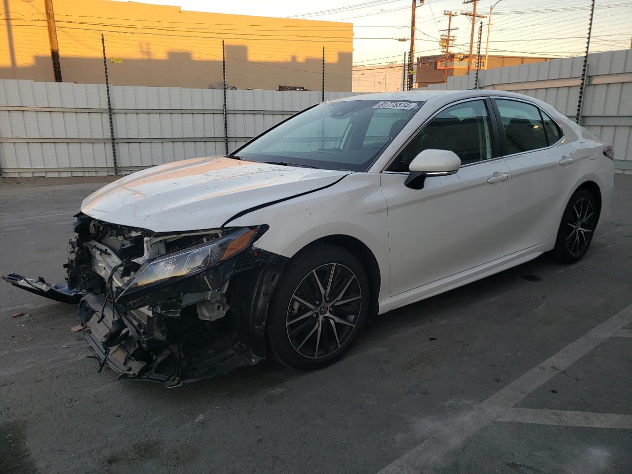 TOYOTA CAMRY SE N 2023