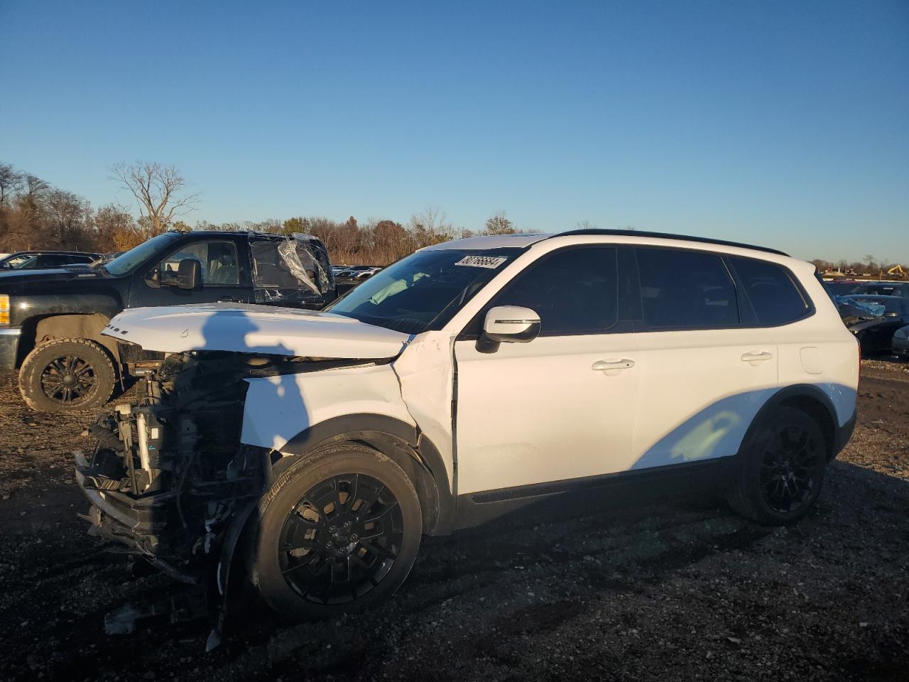 KIA TELLURIDE 2021