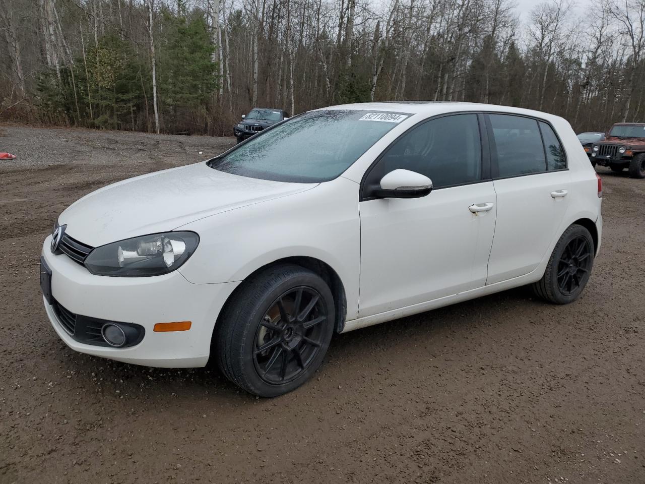 VOLKSWAGEN GOLF 2010