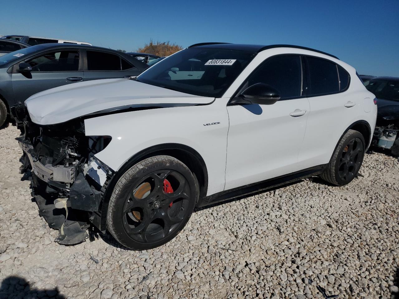 ALFA ROMEO STELVIO TI 2024