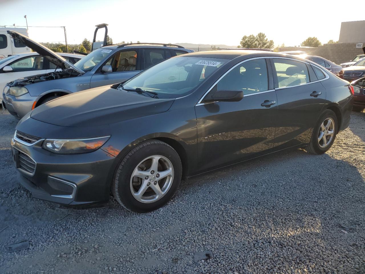 CHEVROLET MALIBU LS 2017
