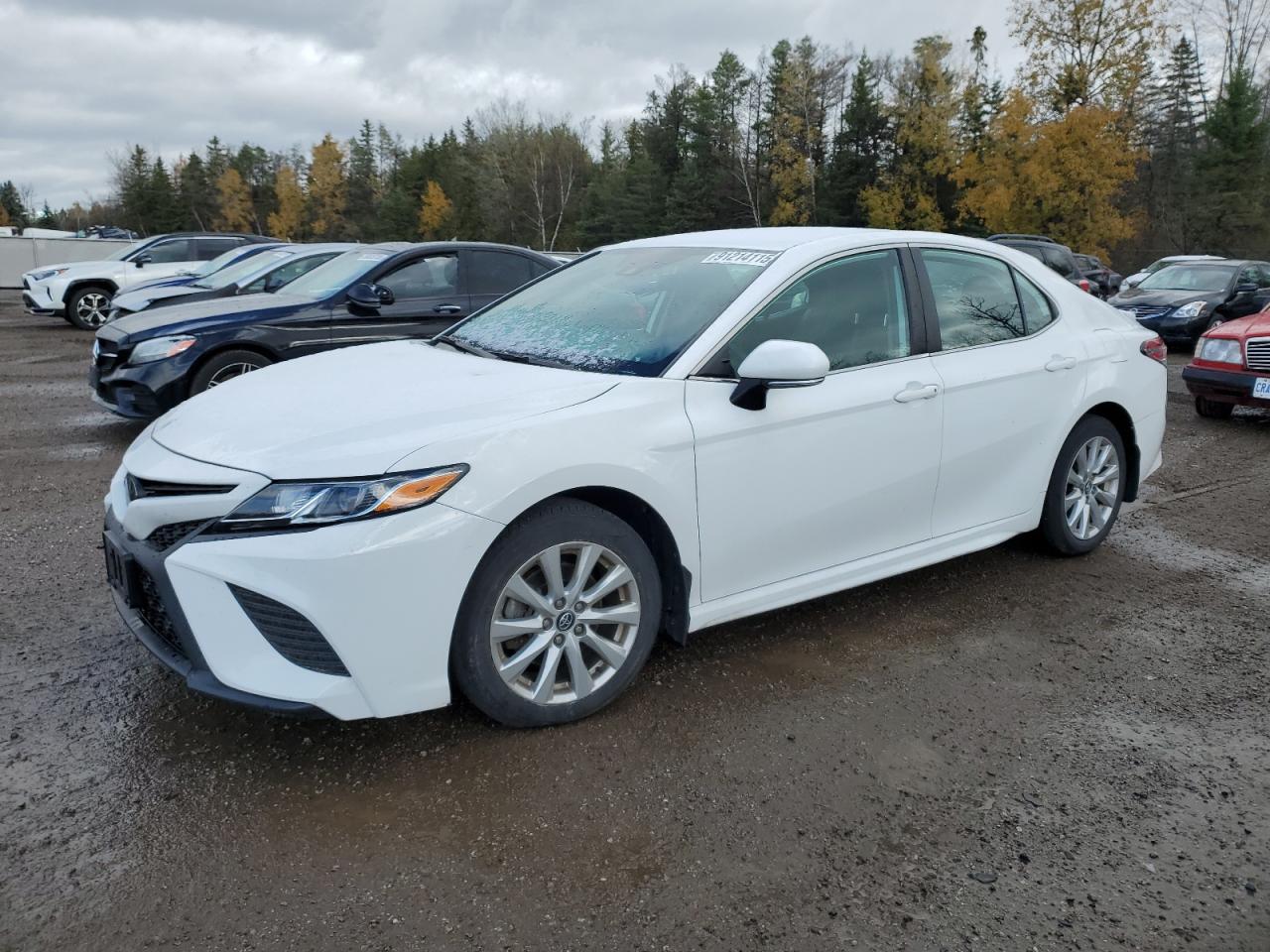 TOYOTA CAMRY SE 2020