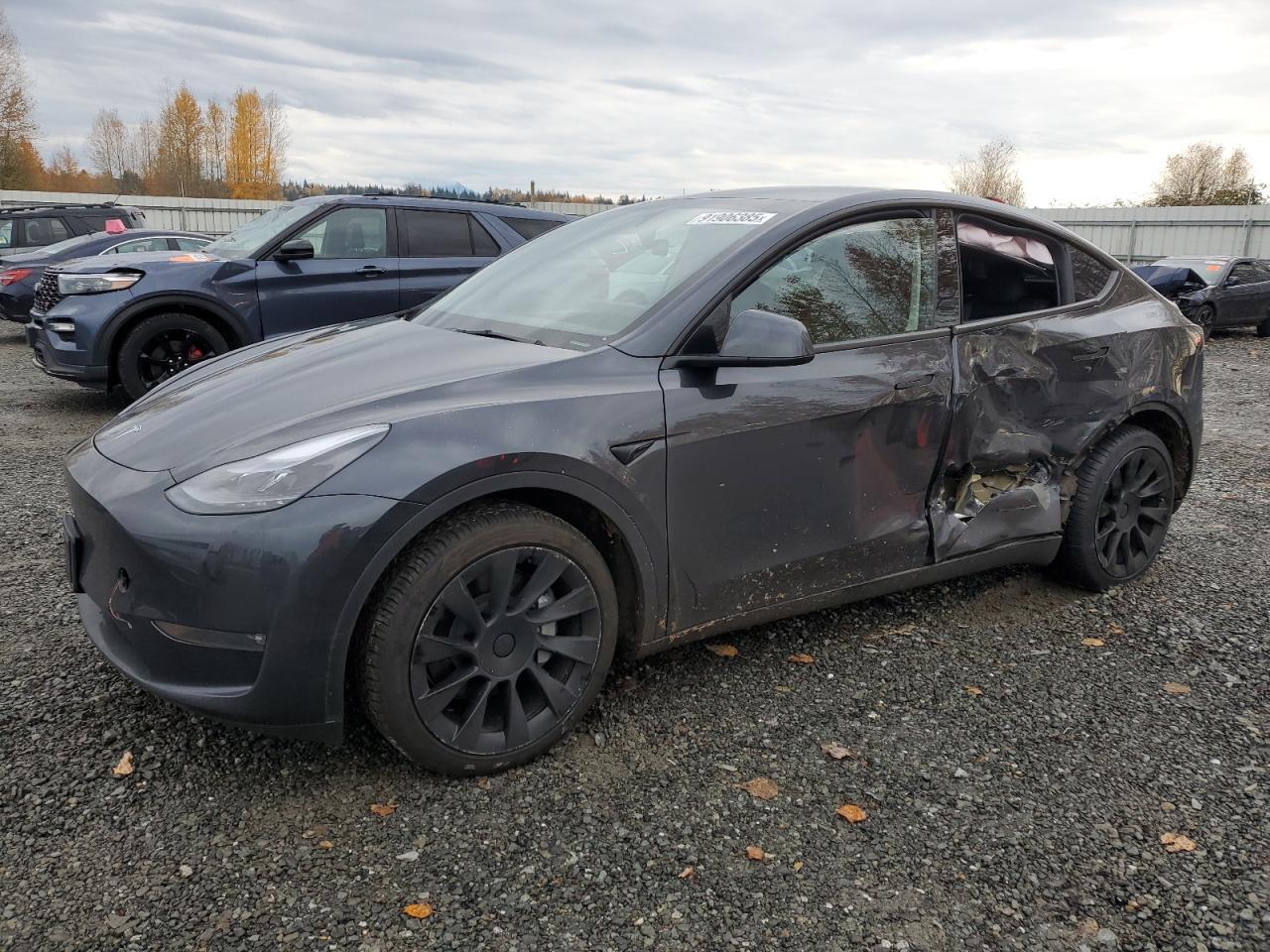 TESLA MODEL Y 2024
