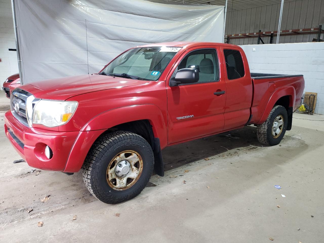 TOYOTA TACOMA ACC 2009