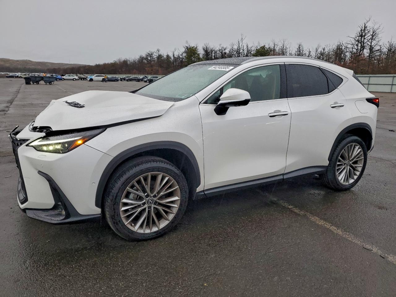 LEXUS NX 2025