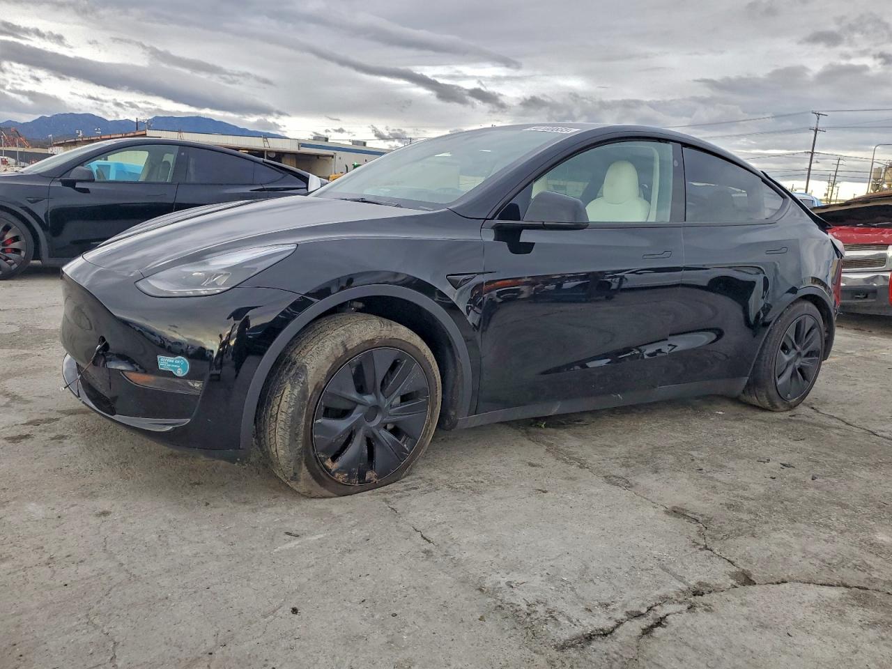 TESLA MODEL Y 2025