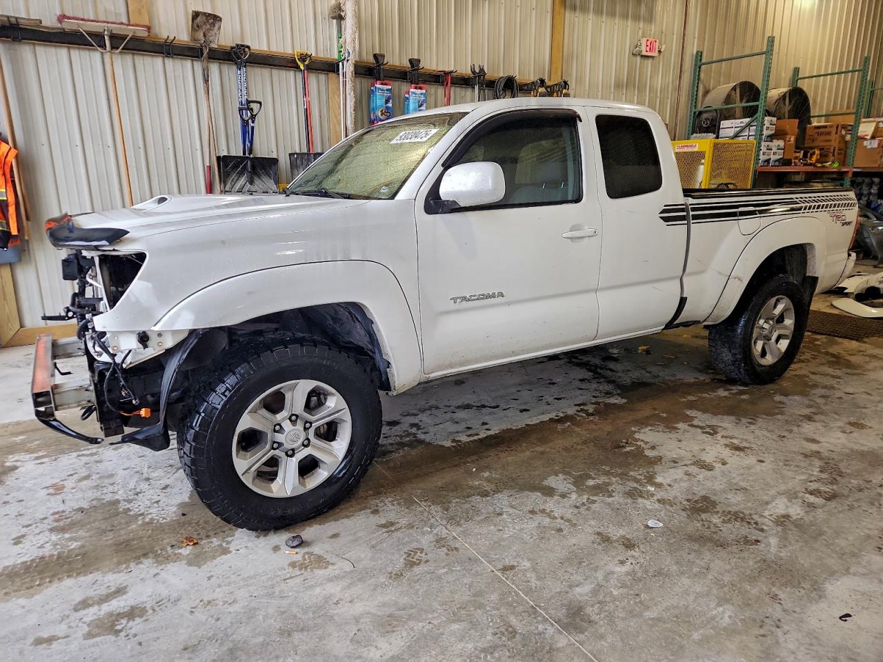 TOYOTA TACOMA 2006