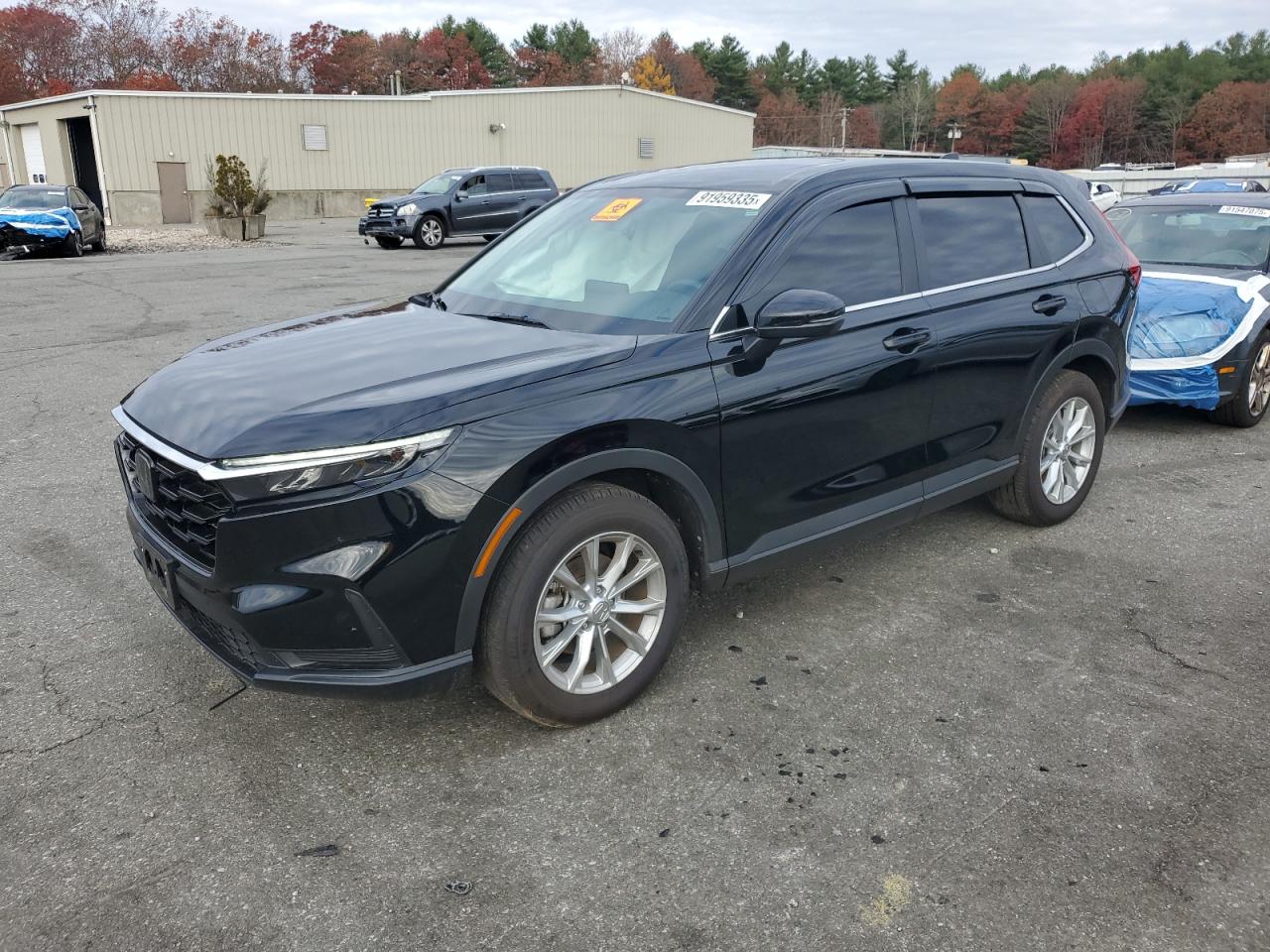 HONDA CR-V EX 2025