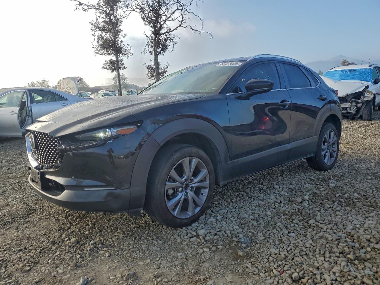 MAZDA CX-30 2022