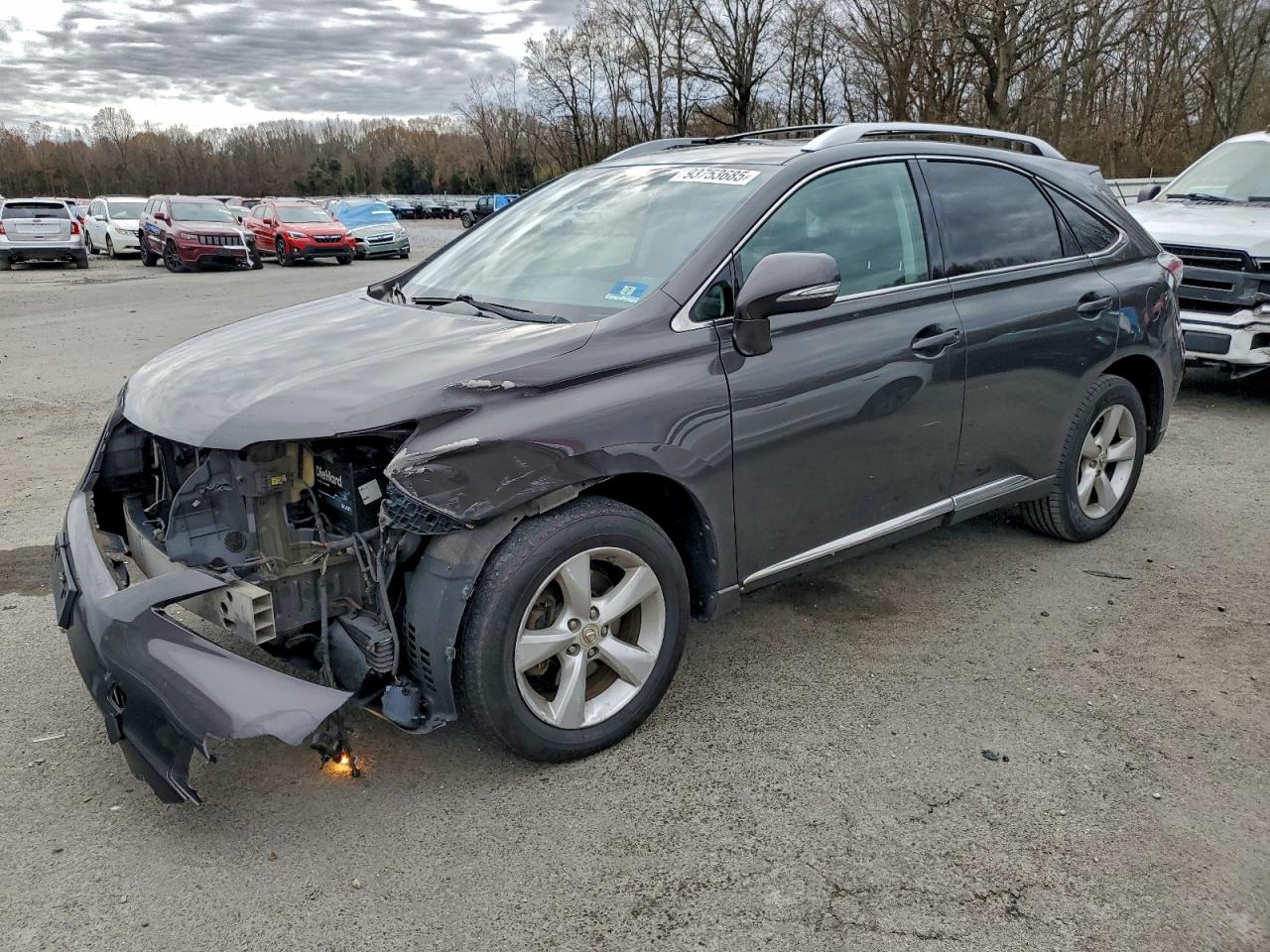 LEXUS RX 2010