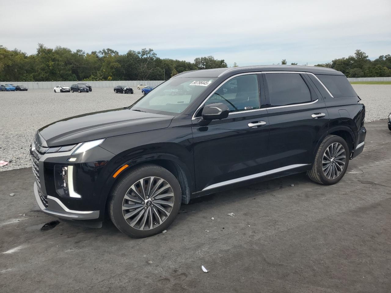 HYUNDAI PALISADE C 2023