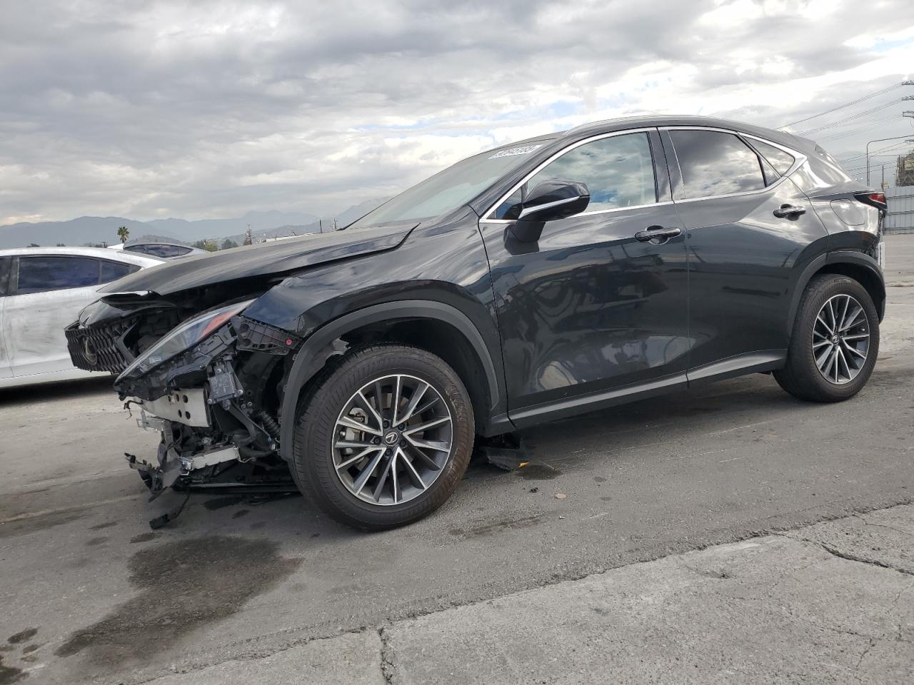 LEXUS NX 2024