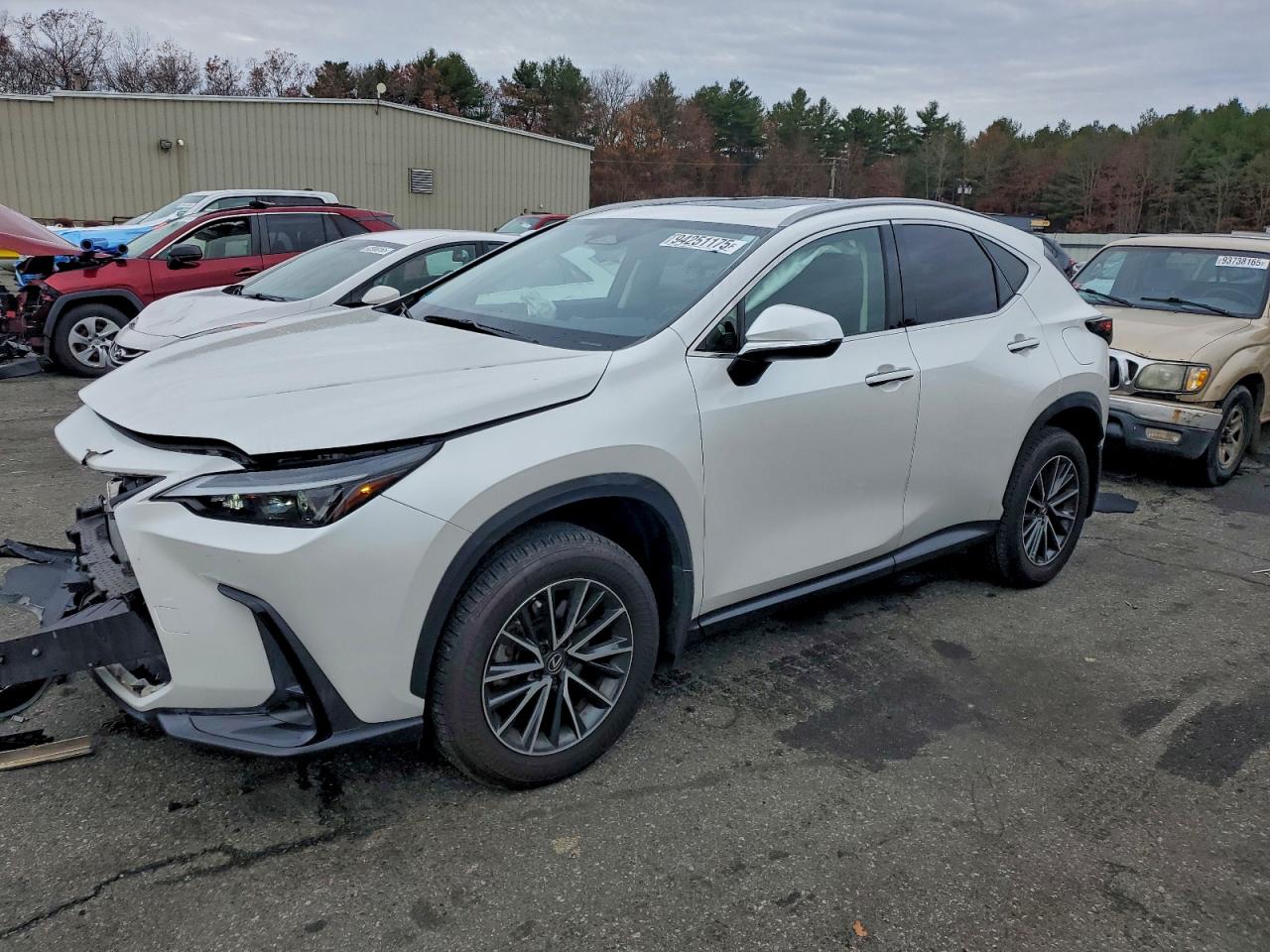 LEXUS NX 2024