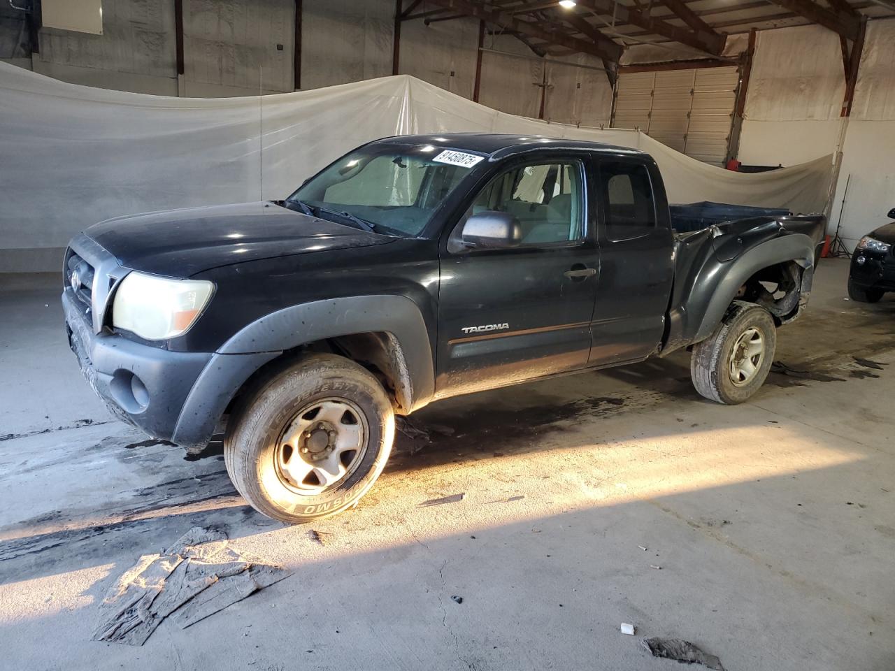 TOYOTA TACOMA ACC 2005