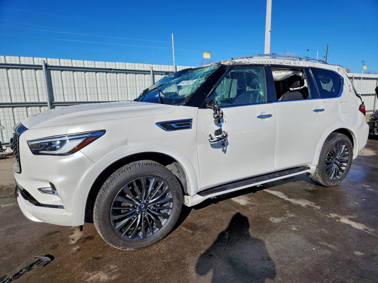 INFINITI QX80 SENSO 2024