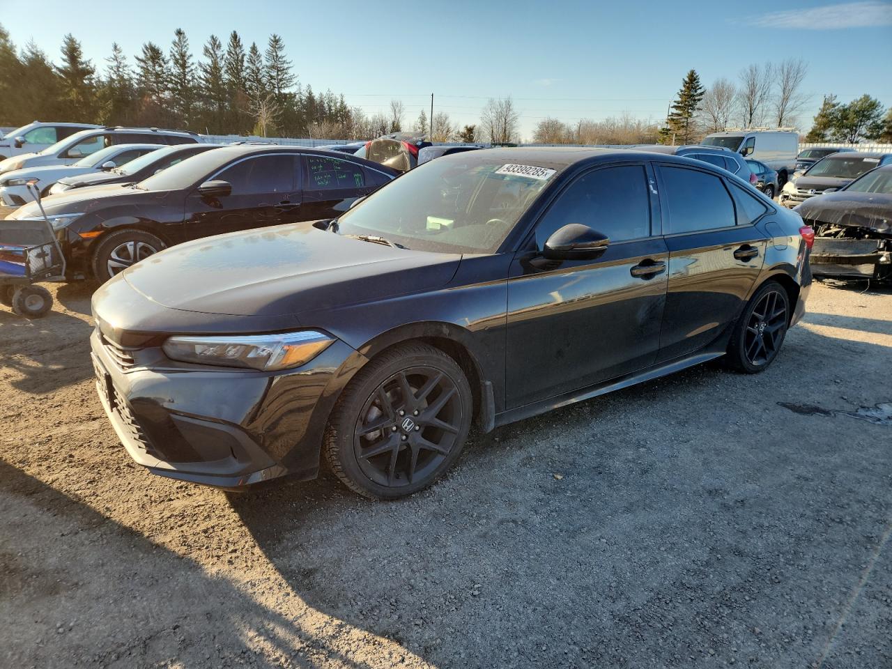 HONDA CIVIC SPOR 2024