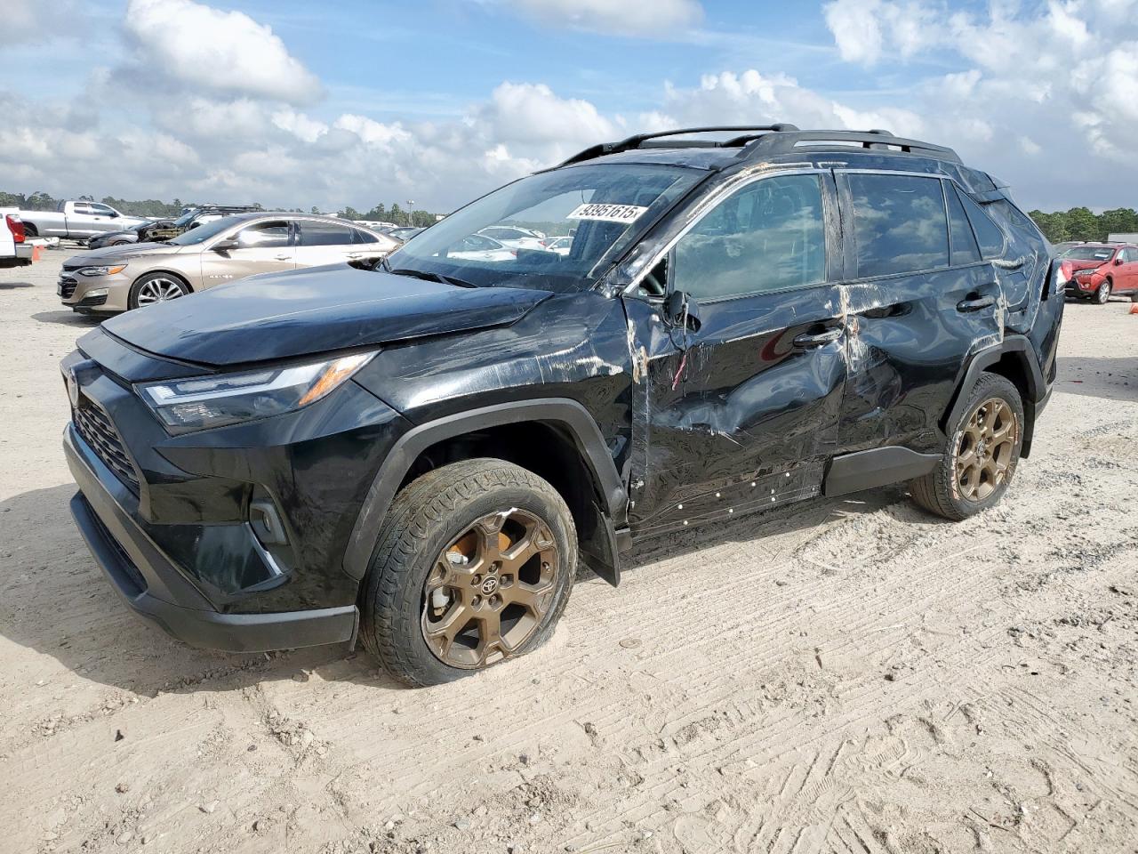 TOYOTA RAV4 WOODL 2024