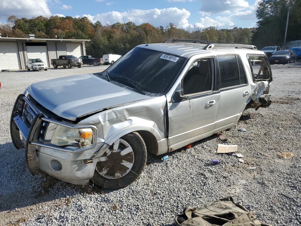 FORD EXPEDITION 2010