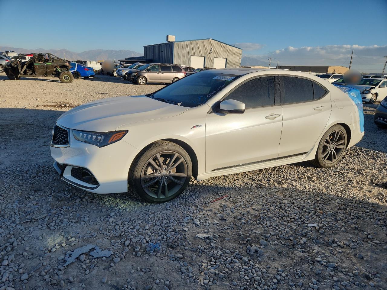 ACURA TLX TECHNO 2019