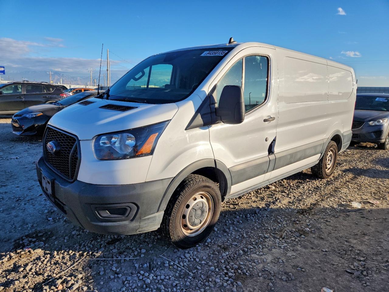 FORD TRANSIT T- 2021