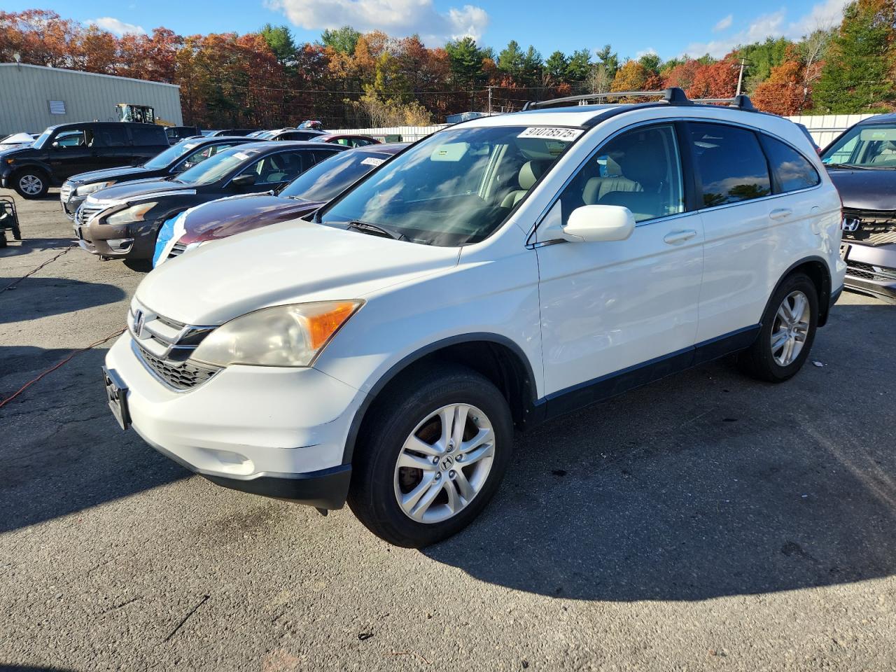 HONDA CR-V EXL 2011