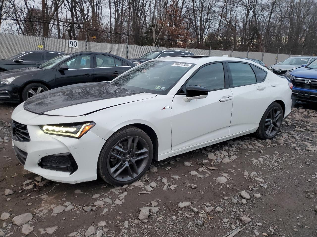 ACURA TLX 2024