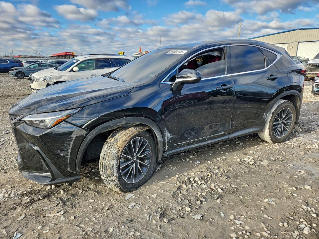 LEXUS NX 2024