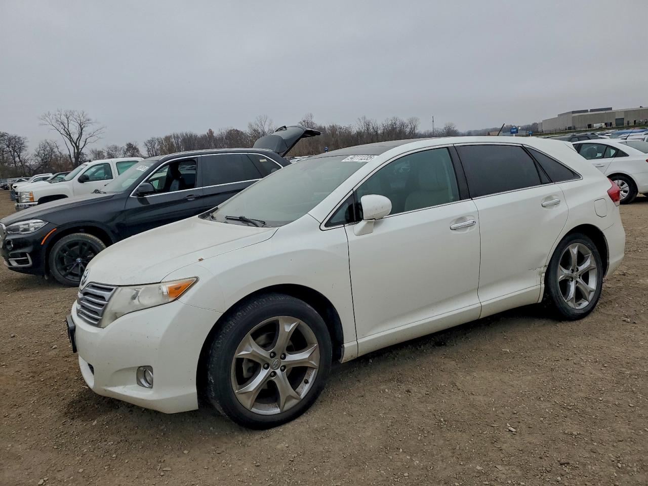 TOYOTA VENZA 2010