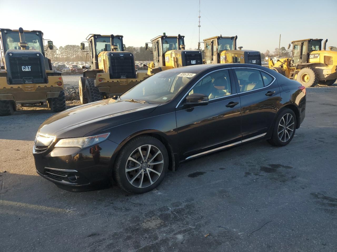 ACURA TLX ADVANC 2015