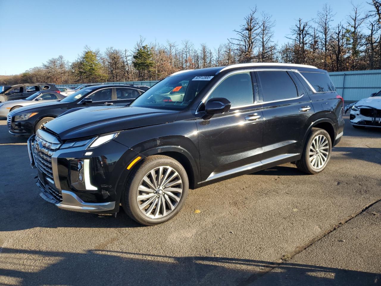 HYUNDAI PALISADE C 2024