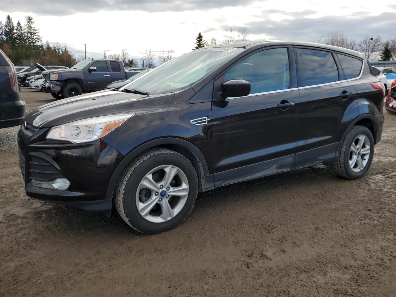 FORD ESCAPE SE 2013