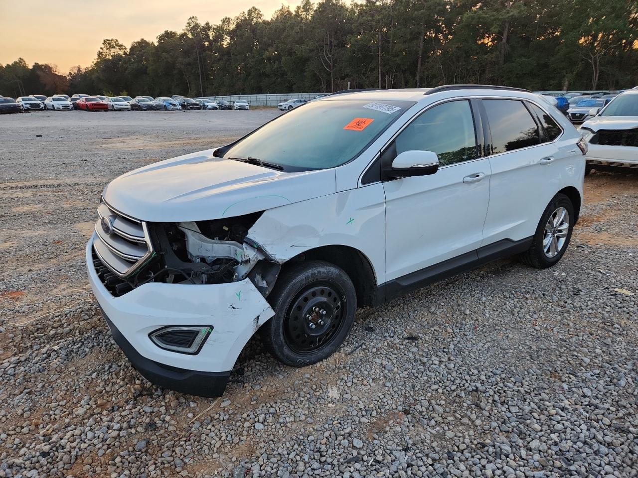 FORD EDGE SEL 2015