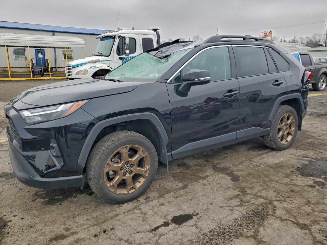 TOYOTA RAV4 WOODL 2024
