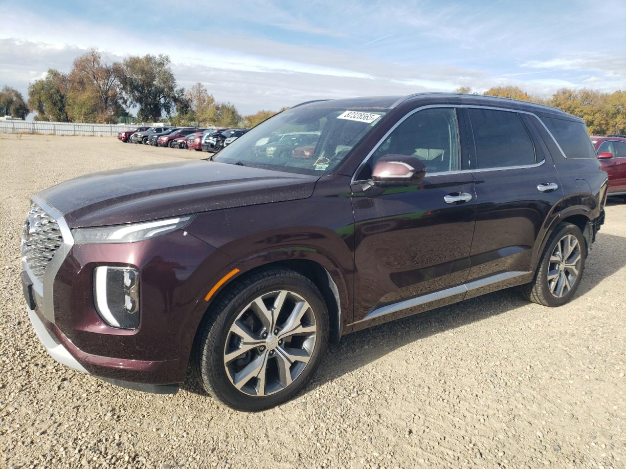 HYUNDAI PALISADE L 2021