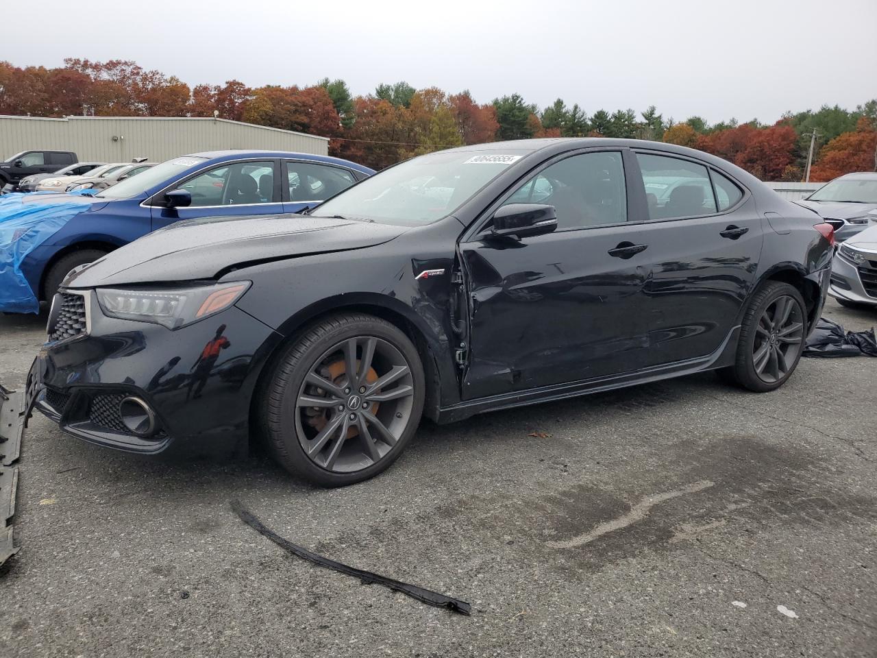 ACURA TLX TECHNO 2019