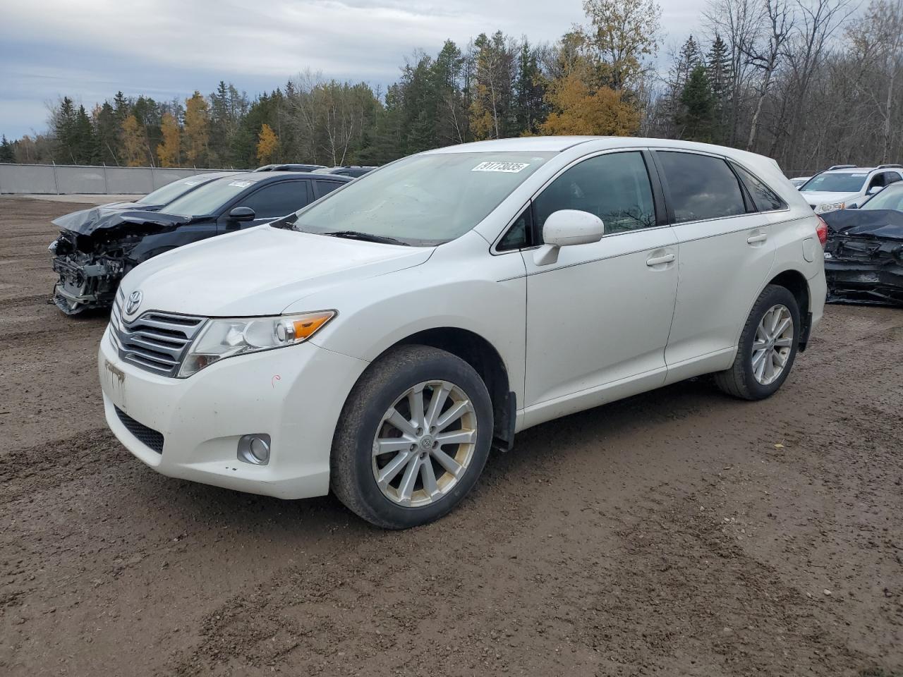 TOYOTA VENZA 2009
