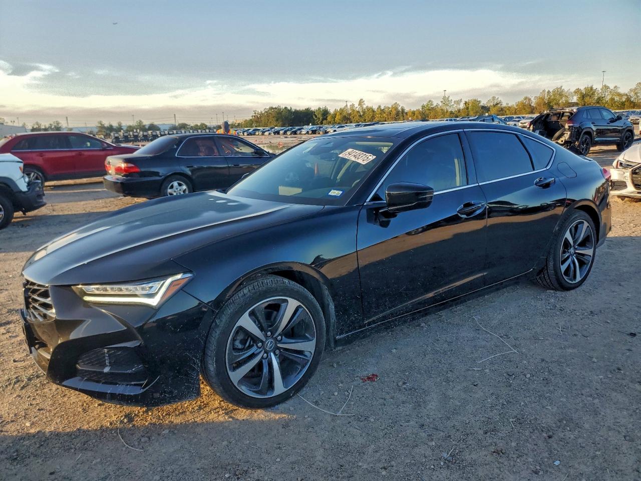 ACURA TLX TECHNO 2024