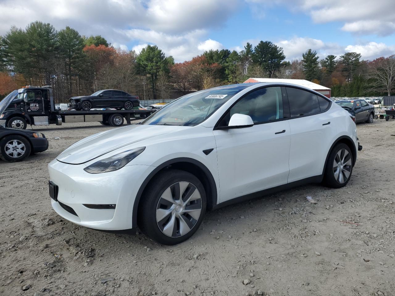 TESLA MODEL Y 2023