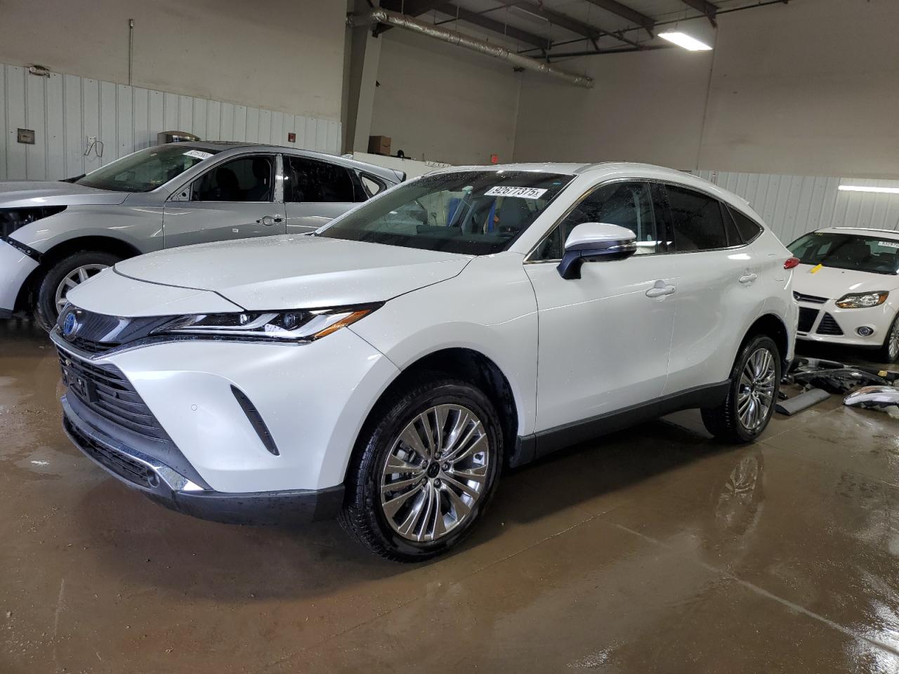 TOYOTA VENZA LE 2024