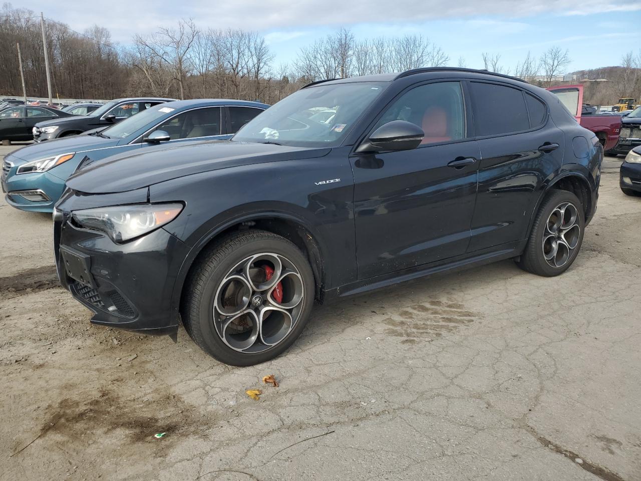 ALFA ROMEO STELVIO TI 2024