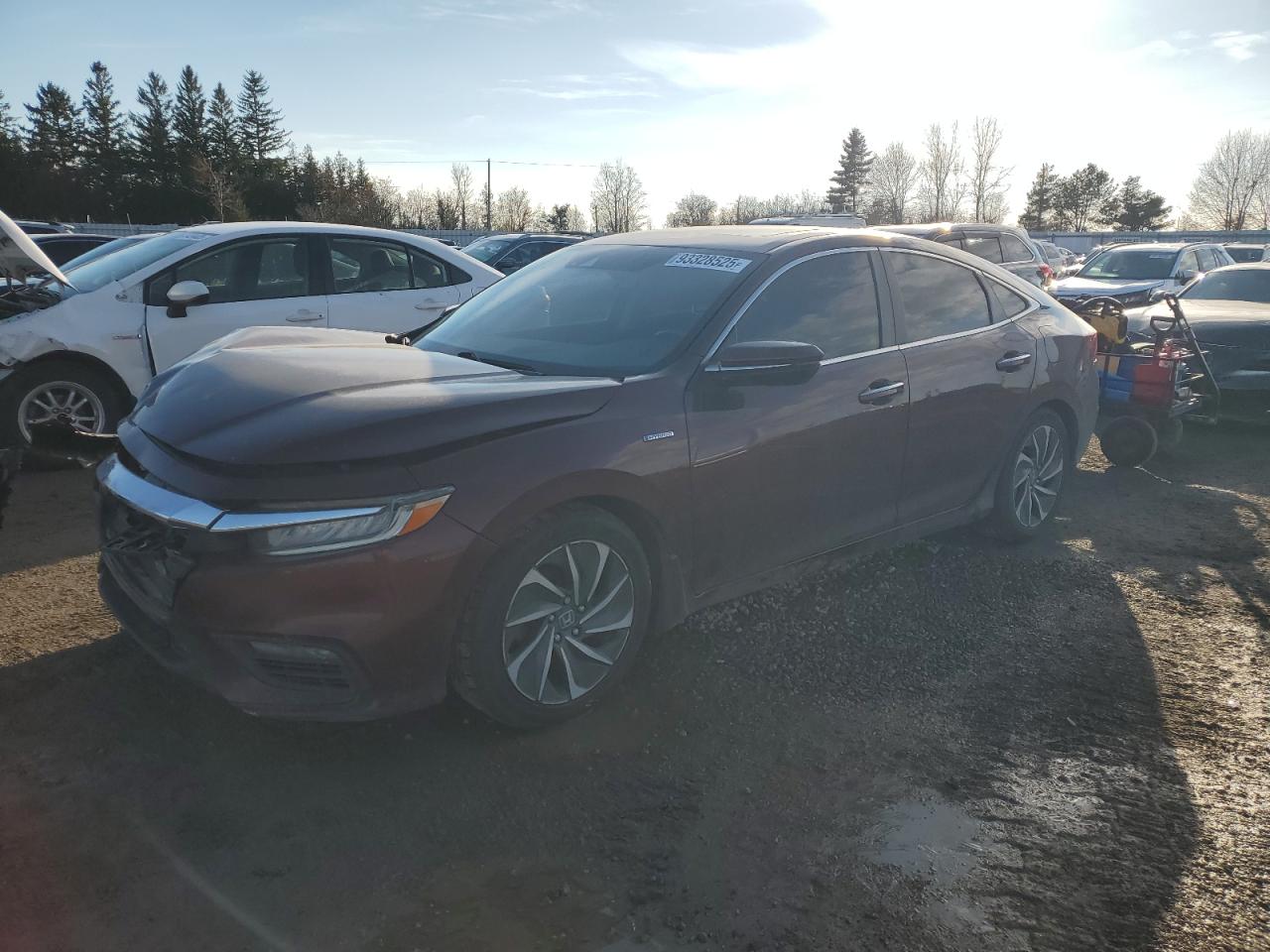 HONDA INSIGHT 2019