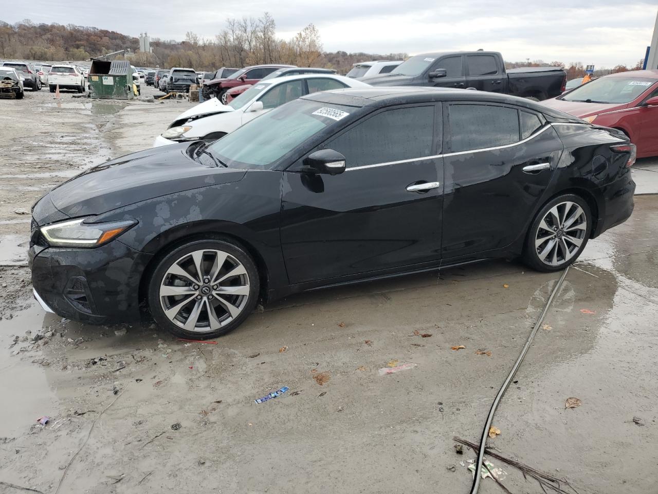 NISSAN MAXIMA 2023