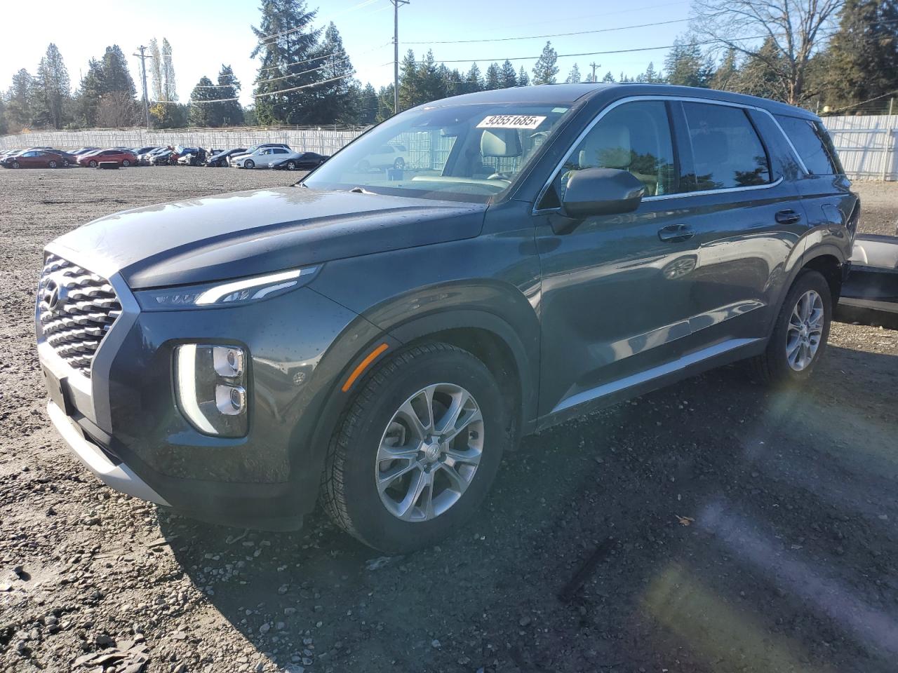 HYUNDAI PALISADE 2020