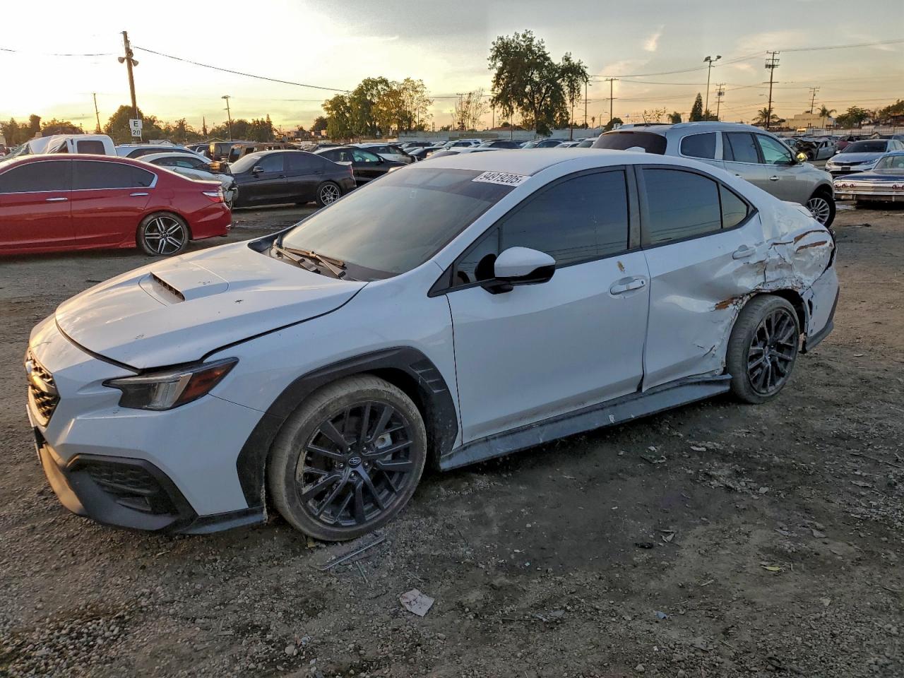 SUBARU WRX PREMIU 2023