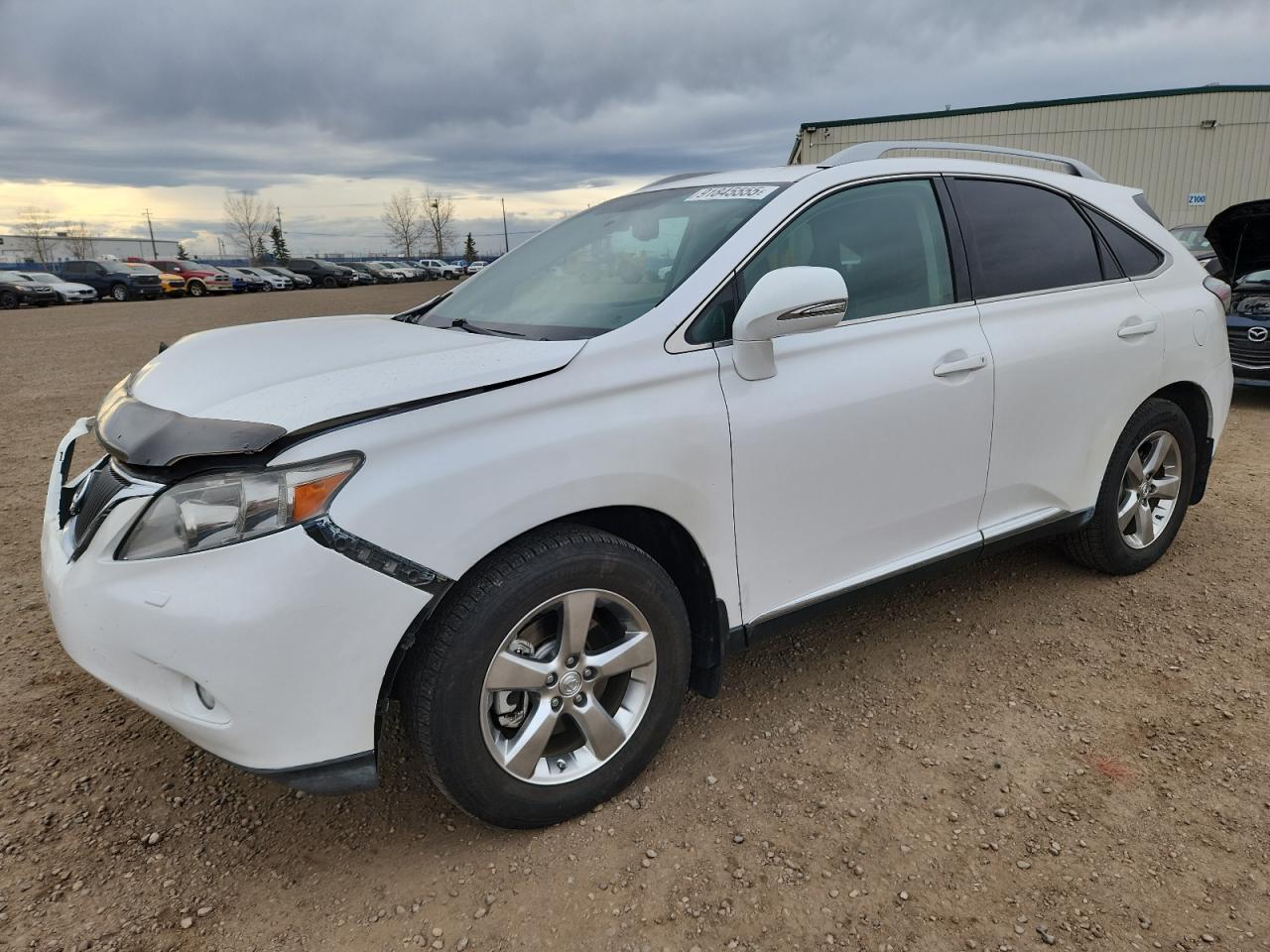 LEXUS RX 2010