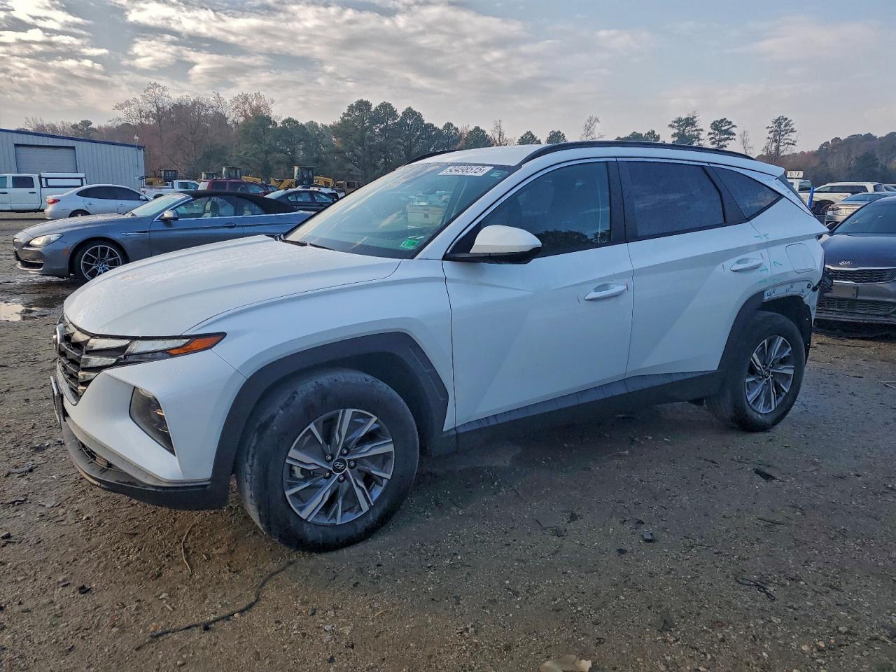 HYUNDAI TUCSON BLU 2024