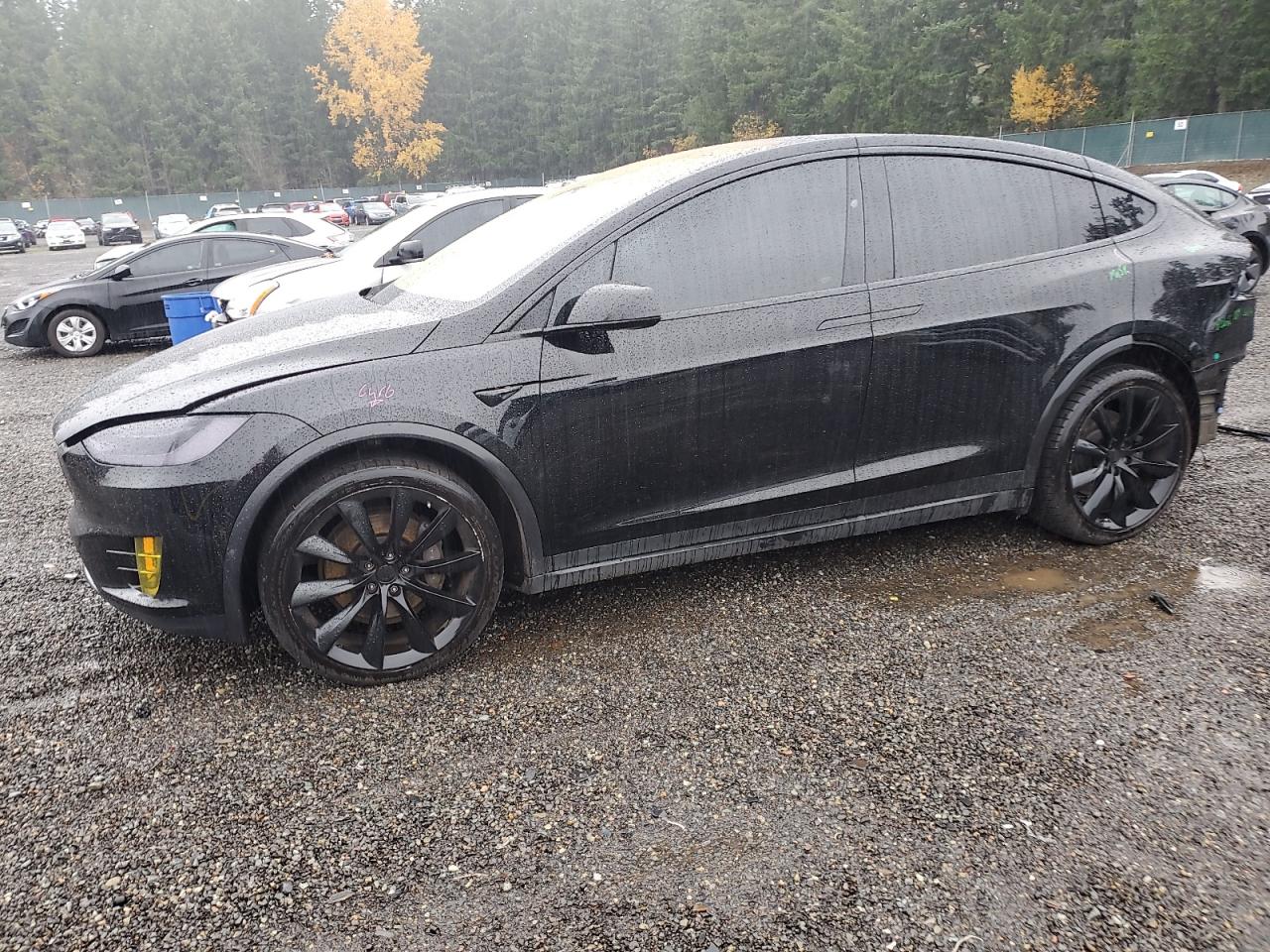TESLA MODEL X 2019