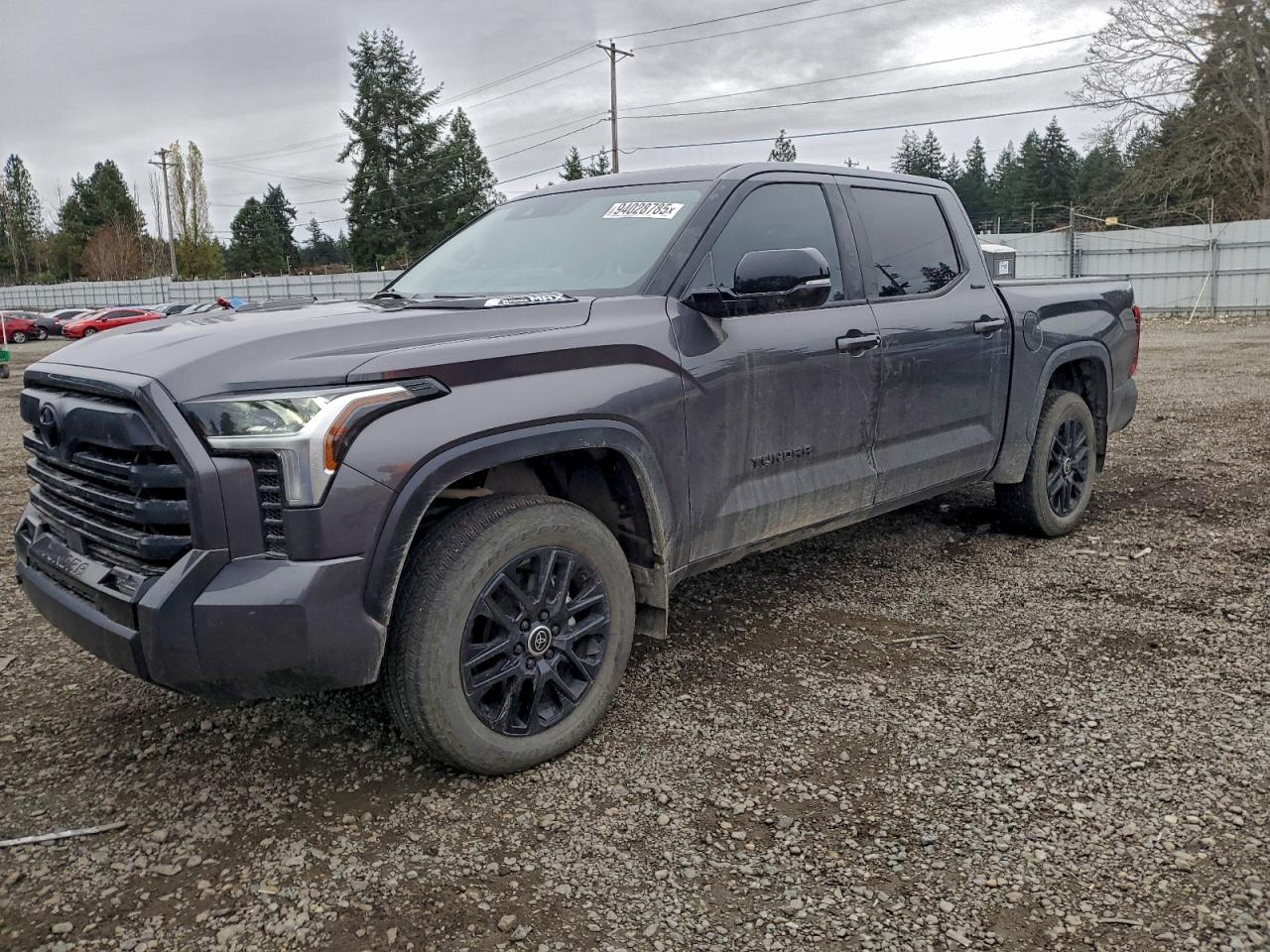 TOYOTA TUNDRA 2024