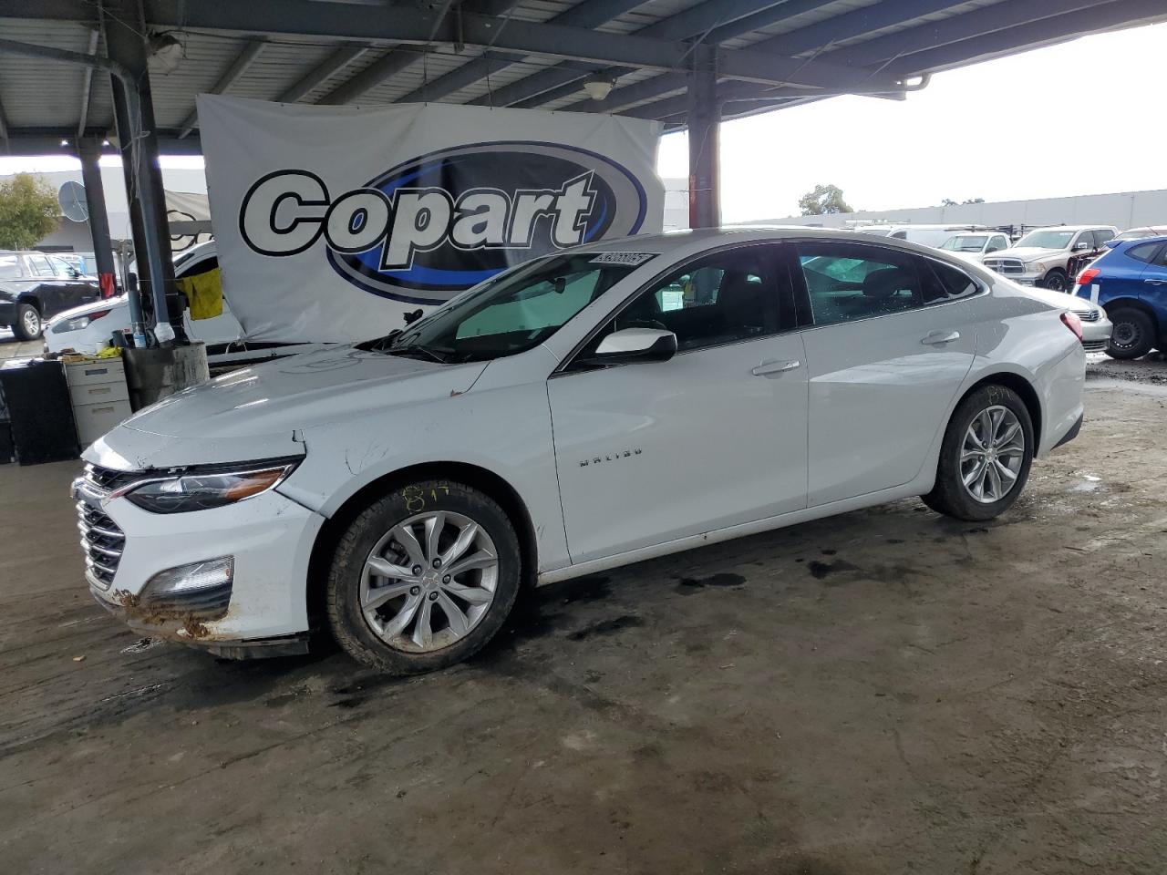 CHEVROLET MALIBU LT 2024
